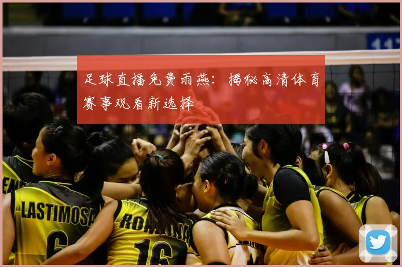 足球直播免费雨燕：揭秘高清体育赛事观看新选择