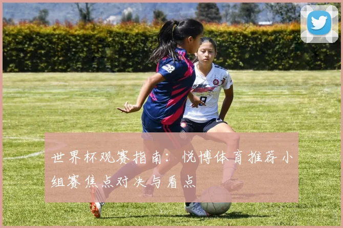 世界杯观赛指南：悦博体育推荐小组赛焦点对决与看点