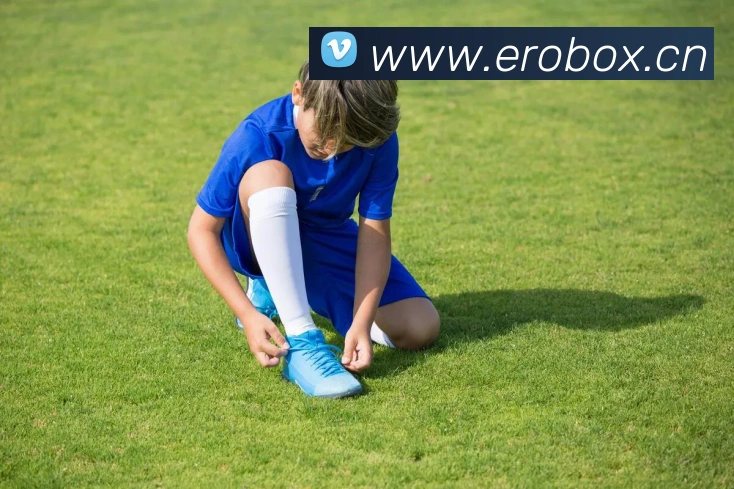 App Interface Preview