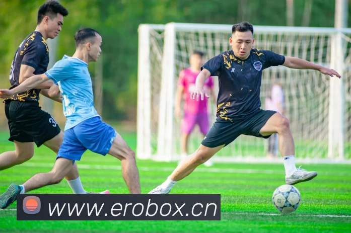 开云官方登录APP 封面图